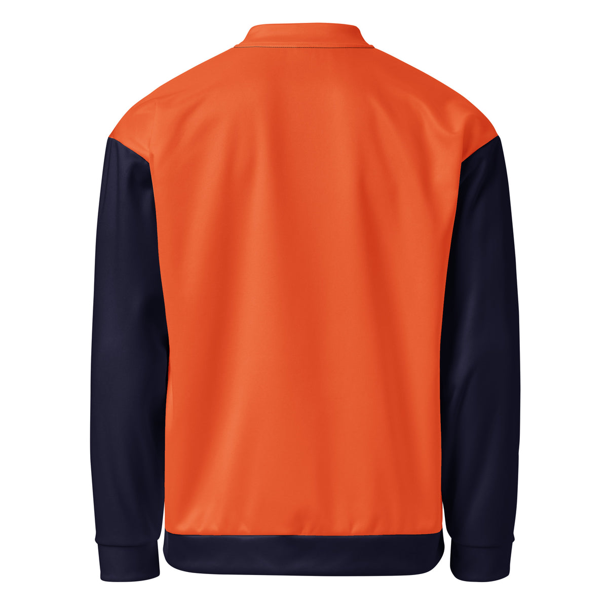 Women's Fierce Lion Graphic Bomber Jacket